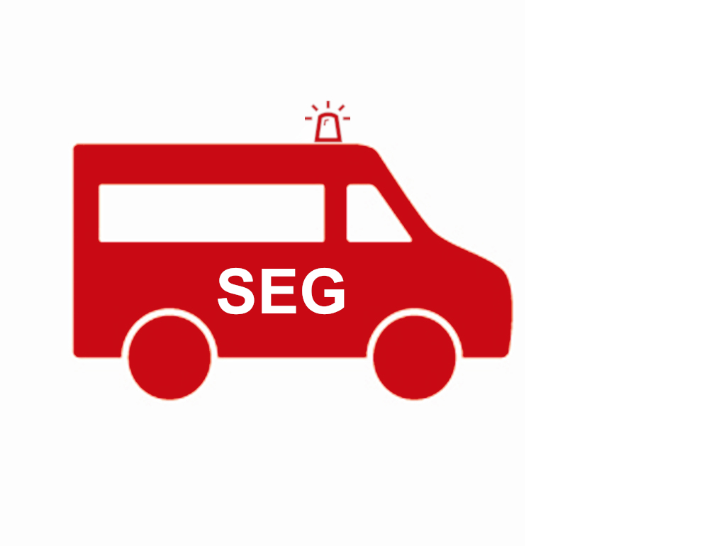 Icons_SEG_.jpg